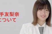 【櫻坂46】マジさ……「平手友梨奈について」って聞いた側の問題だよな…