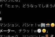 【悲報】イキ李ハッタ李反社のZさん…化けの皮がはがれてしまう…
