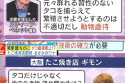 大阪のたこ焼き屋のおばちゃん、アメリカの下院議員に勝利