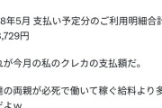 44歳無職ネトゲーマー「父は東大卒の事務次官で年収3000万円！お小遣いは月30万円なんだ！」