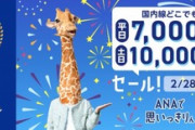 ANAの｢国内線どこでも平日7000円･休日1万円｣セール お前らどこに行く?
