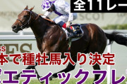 2021年2000ギニー馬のポエティックフレアさん、社台入り！
