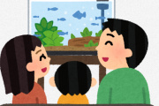 【あるある】家族が勝手に余計なことをして魚が死ぬ・・・