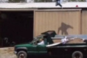 【動画】 ユーチューバー「そうだ！屋根の上から車の上に飛び乗ったら超カッコよくね！？」 ⇒ 衝撃の結末・・