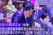 小西議員、文書の正確性の精査中止を要求「精査は総務行政の否定、国会審議の妨害。高市氏は辞職を」