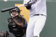 【阪神】大山悠輔がランチ特打で７２スイング１５発…巨人・萩原哲スコアラーが警戒「振れていますね」