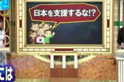 韓国人「日本は韓国を属国やタカリとして見ている」→「日本は輸出規制で韓国経済を潰そうをした」　韓国の反応