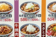 【画像】牛丼、ワンコインで食べられなくなる
