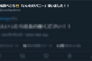 【CEOの座】ぺこら冗談とはいえ度胸凄いなぁ、YAGOO驚いてて草