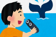 ホエールウォッチングとか喜んでるけど、あれクジラのジャンプに巻き込まれたら死ぬよね？