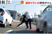 【衝撃動画】ライダーとドライバーが道路のど真ん中で殴り合いのケンカ！！怖すぎる…