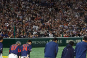 日本でもなかなか食べられない？WBC記者が感激した日本の美食とは