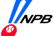 NPB、オープン戦22試合で11本塁打