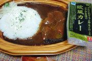 【画像】ファミマの欧風カレーｗｗｗｗｗｗ