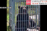 「肉食のチャンスがあれば…ヒグマはそういう動物」人身事故や食害をゼロに“あつれき”を生まないために…「問題個体の確実な捕殺」