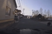 「家から出ないで！クマいるよ！」警察が叫ぶ…でかい！山形市の中学校に侵入したクマが逃走する瞬間をカメラがとらえた