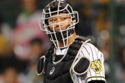 【朗報】阪神・坂本誠志郎捕手、ダルビッシュに認められる