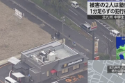 【悲報】警察「マクドで刺した男は黄色いサンダルで逃走してる」←これ・・・・・