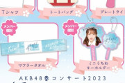 【3/11(土)10時販売開始】AKB48　春コンサート2023事前お届けグッズ