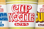 日清のカップヌードルとかいう満遍なく美味いカップ麺