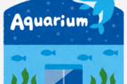 【悲報】高知の水族館、営業してるのに客０人で発狂www