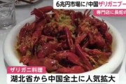 中国人「ザリガニ美味すぎ」空前のザリガニブームで市場規模は6兆円