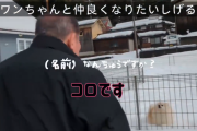 「ワンちゃんと仲良くなりたいしげる」石破茂前首相、犬と戯れる動画で話題　吠えられ続け...「なぜか和む」の声