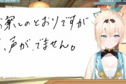 【悲報】失声症のホロVtuber、アンチに「推しと絡むな！」と言われて透明になってしまう…