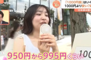 【悲報】Z世代さん、「1000円弱」がいくらかわからない