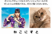高城れに『私と愛猫ぜっちゃんの写真パネルが展示!!』猫イベント「ねこにすと55」今週開催！