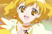 【プリキュア】採れたて四つ葉のキュアパイン！！