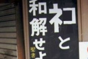 【悲報】居酒屋さん、『ネコと和解せよ』の商標を出願 → のまネコ問題の再来ではないかと話題に