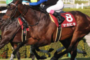 ダービー馬マカヒキ 5年振りに勝利 京都大賞典