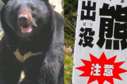 【悲報】人間さん、猟友会にブチギレｗ　「熊相手に武器を使うのは卑怯！素手で闘え！！」