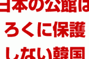 米国「韓国はすべての外交公館を保護しろ。日本の公館もだ」　当たり前のことだろ…