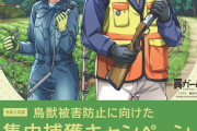 罠猟漫画『罠ガール』が農林水産省・環境省の「集中捕獲キャンペーン」とコラボ