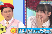 【日向坂46】『ひなあい珍プレー好プレー』が見たいｗｗｗｗｗｗｗｗｗｗ