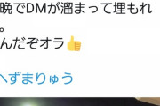 【悲報】へずまりゅうさんが飯塚幸三に凸ろうとした結果www
