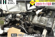 【これやめろ悲報】高速にて大型トラックの運ちゃん「PA満車かよ。しゃーない路肩で休憩すっか」→
