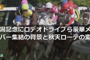 新潟記念にロデオドライブら豪華メンバー集結の背景と秋天ローテの変容