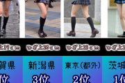 【画像】一番女子高生のスカート丈が短い県、茨城県に決定！