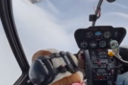 海外「こんな生き方したい」ヘリコプターの飛行を満喫するセレブなワンさんが海外で話題に