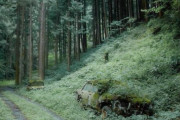 【なぜ？】日本の森林の中に置き去りにされた２台の車が薄気味悪いと海外掲示板で話題に　海外の反応