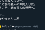 【悲報】なかやまきんに君さん、話が通じないｗｗｗｗｗｗｗｗ