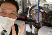 ビワコさんが偶然乗ったタクシーの運転手さんがドテチンさんだったらしwww