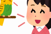 【すげえ】インコ、LINEの着信音を完コピしてしまう(動画あり)
