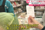 【朗報】 キャベツが大幅に値下がり傾向、1玉100円台の店も