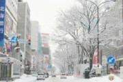 【新型コロナ】さっぽろ雪まつり後に発症者急増　北海道
