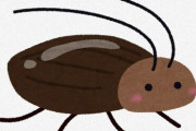 【悲報】ゴキブリがナメクジと同じ移動速度だったら皆から愛されていたという事実