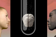 ネアンデルタール人の遺伝子を組み込んだ「人工培養脳」の作成に成功！